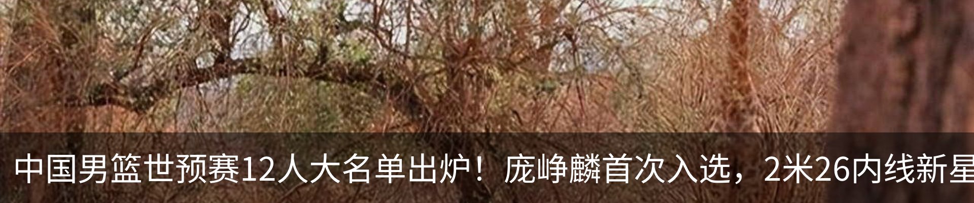 新闻中心