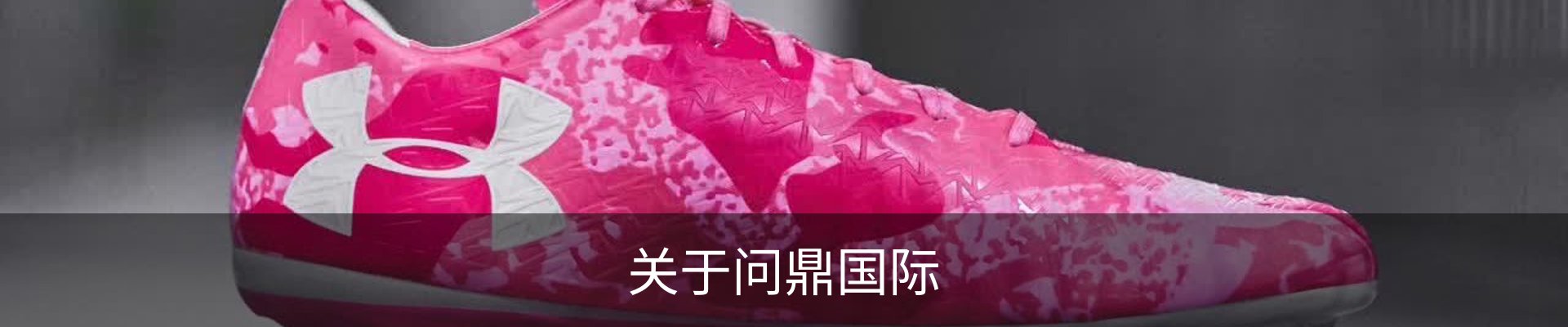 关于问鼎国际